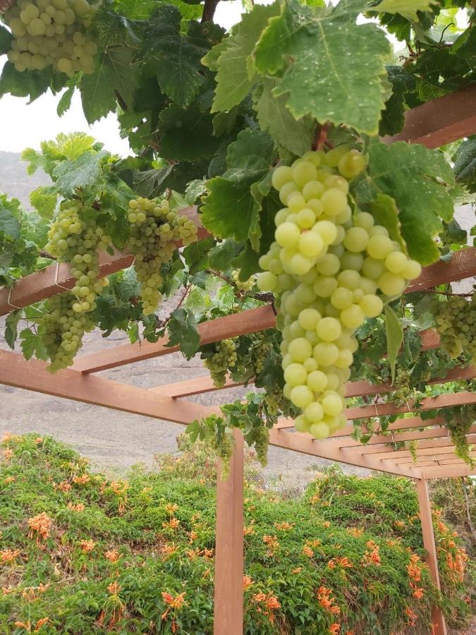 הוילה פרונטרה Mi Jardin מראה חיצוני תמונה