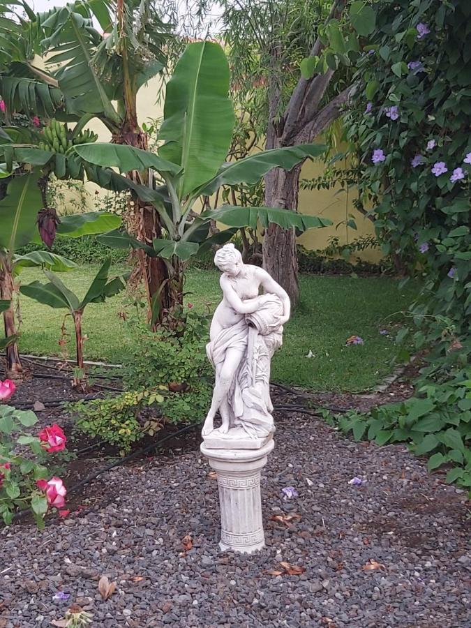 הוילה פרונטרה Mi Jardin מראה חיצוני תמונה