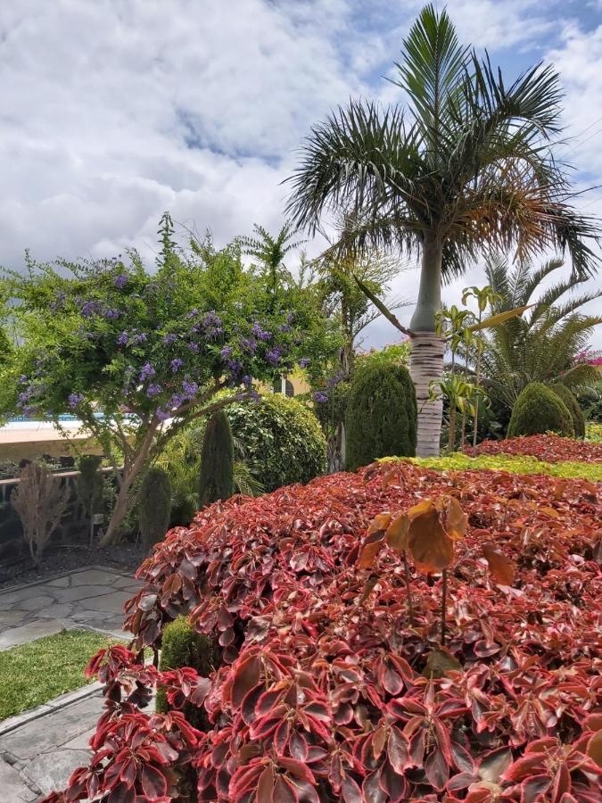 הוילה פרונטרה Mi Jardin מראה חיצוני תמונה